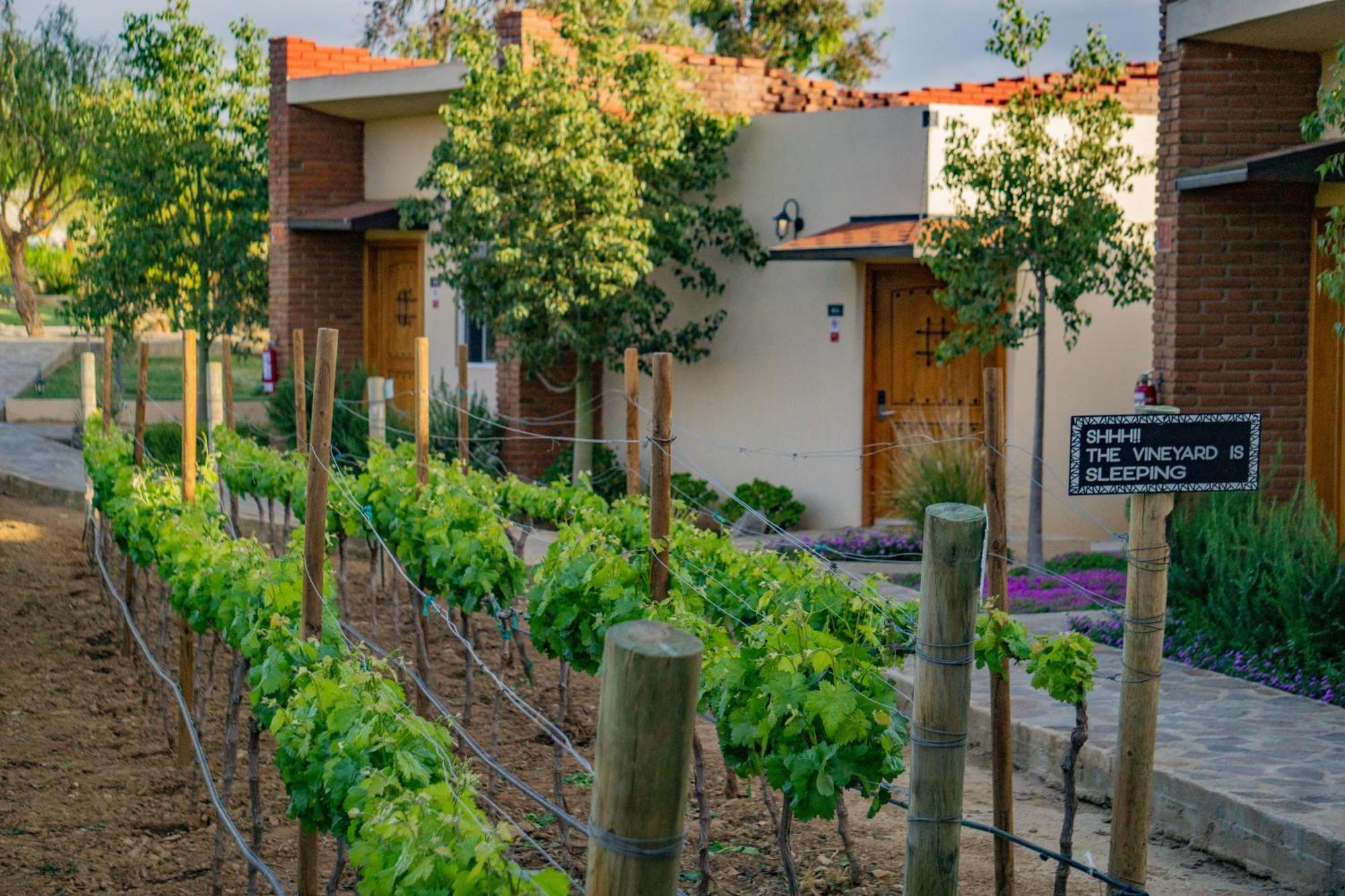 Ojo Azul Resort Valle de Guadalupe Eksteriør bilde