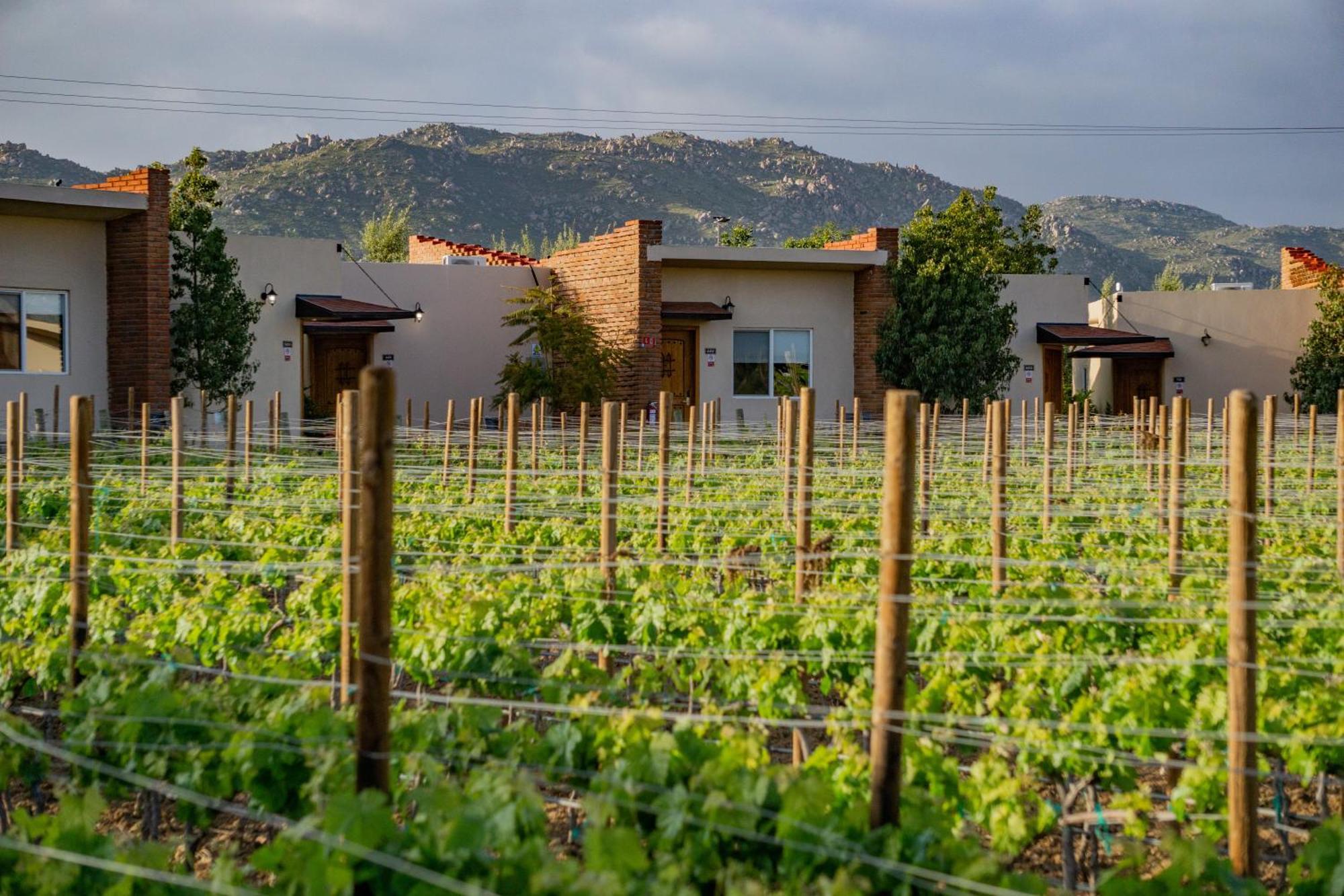 Ojo Azul Resort Valle de Guadalupe Eksteriør bilde