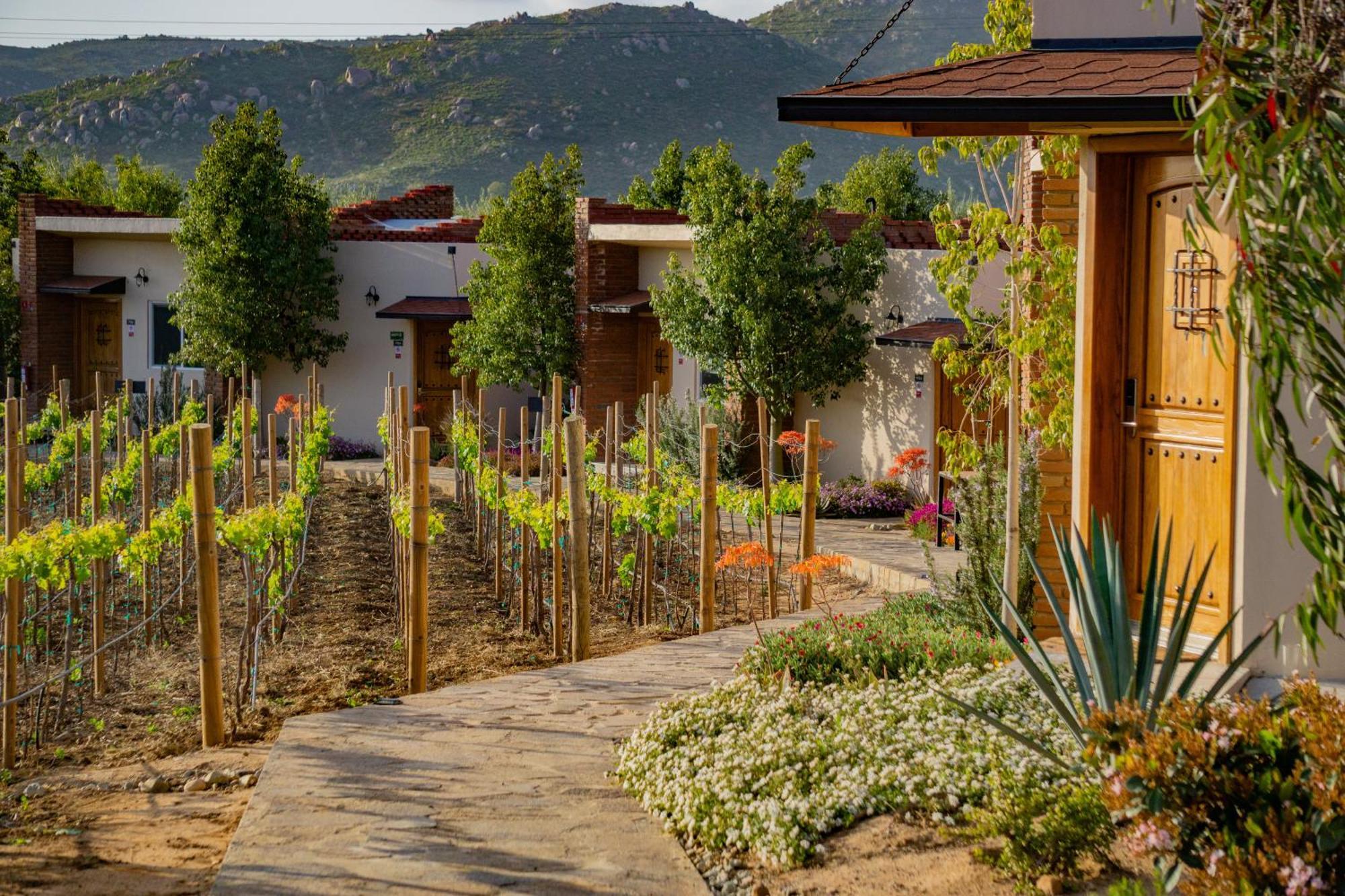 Ojo Azul Resort Valle de Guadalupe Eksteriør bilde
