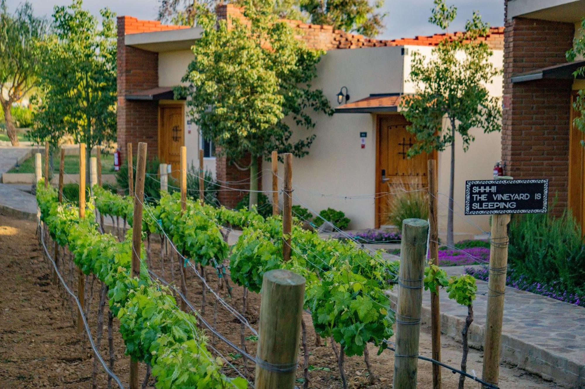 Ojo Azul Resort Valle de Guadalupe Eksteriør bilde